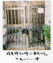 〓〓[ ` hello.dog.jpg
